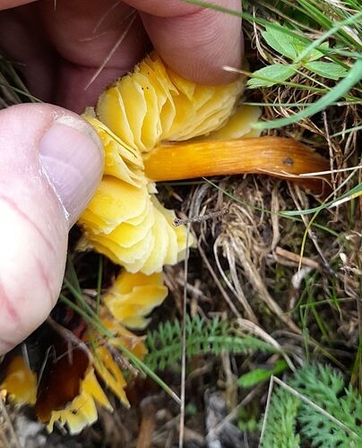 20220901_105849_compress88