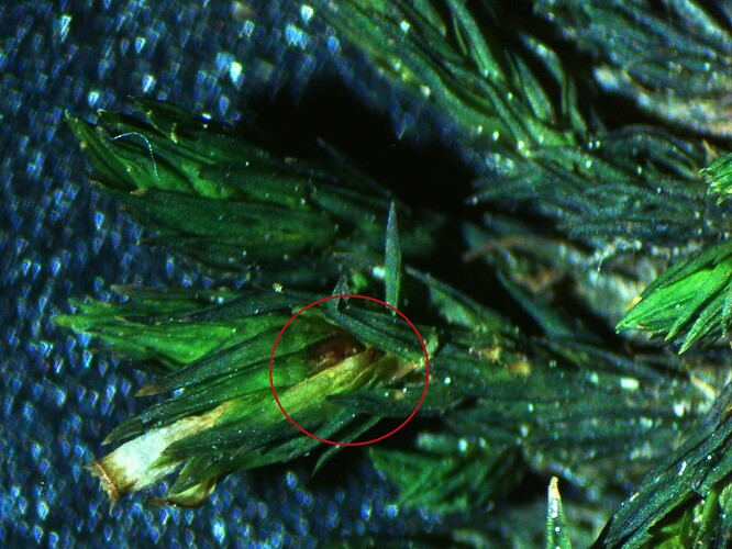 2023-02-13-220728_circle