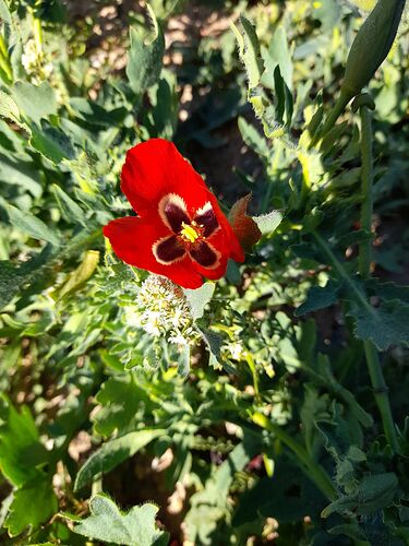 20210407_105413_compress11