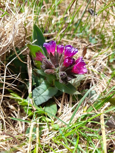 2022-04-28T14_02_00+02_00