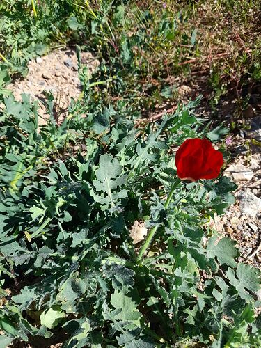 20210407_105454_compress1