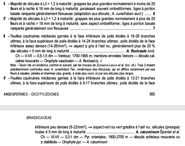Capture d’écran 2021-12-28 à 08.17.08