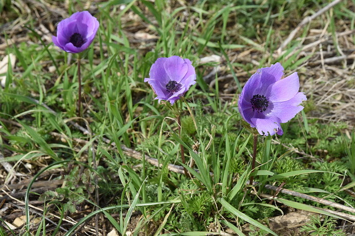 DSC_2329_redimensionner