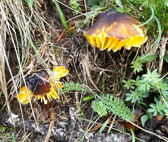 20220901_105837_compress61