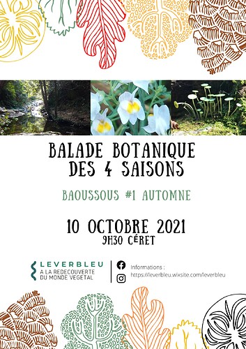 balade-botanique-baoussous-leverbleu