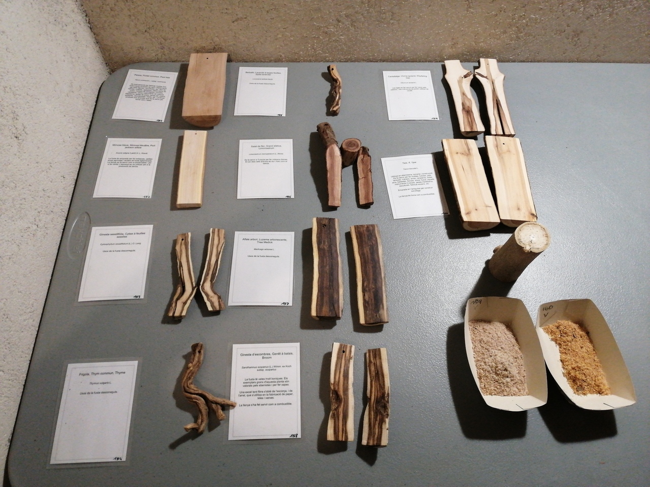 15986401462576334029942241842580