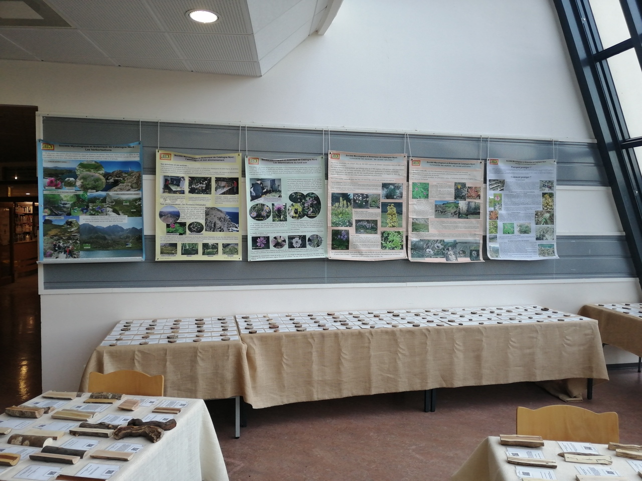 Xilottèque 2 IMG_20200915_184223 (1)